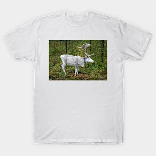 Santa Claus Reindeer T-Shirt